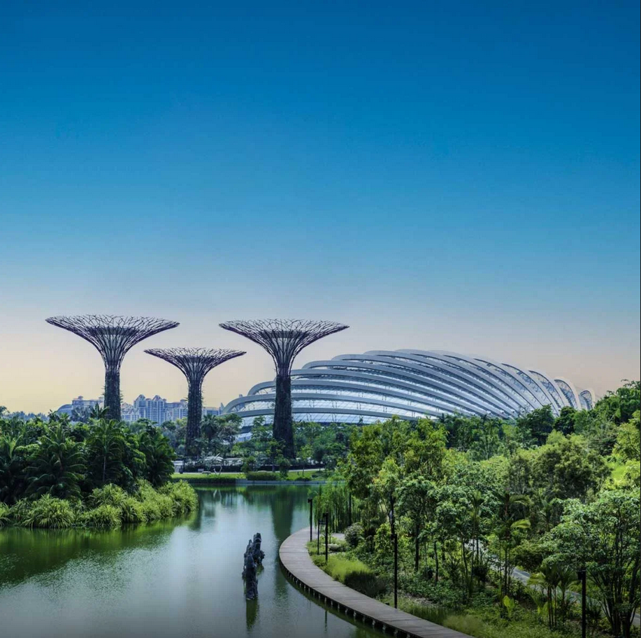 Singapore Tourist Visa Double Entry photo 1
