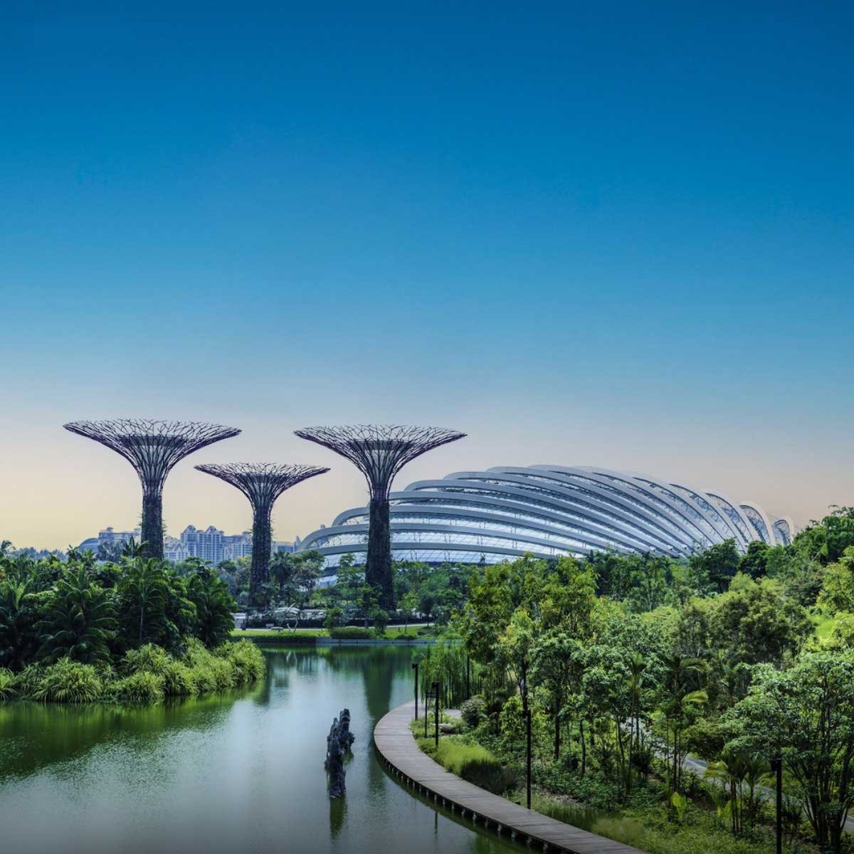 Singapore-3